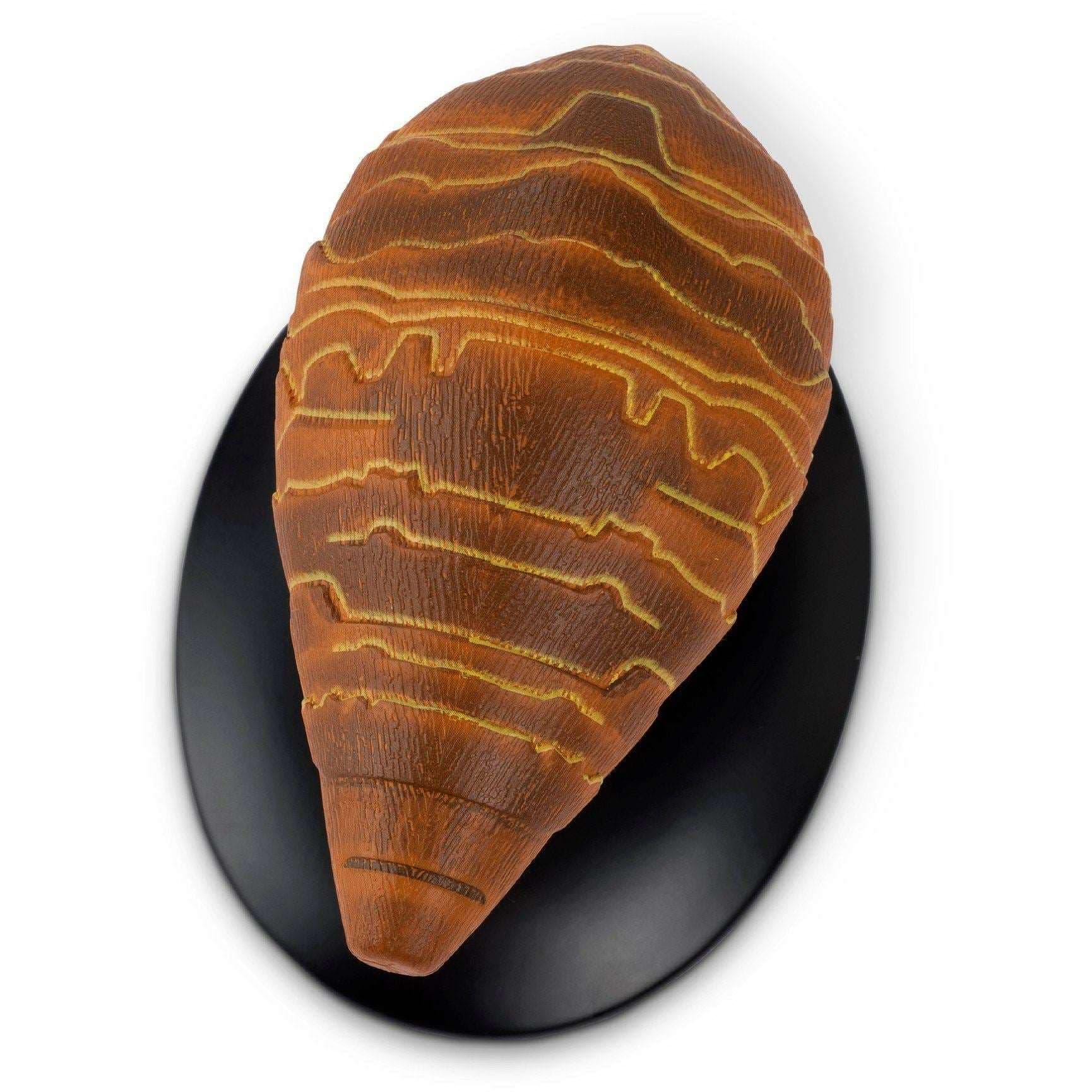 Gomtuu image 6